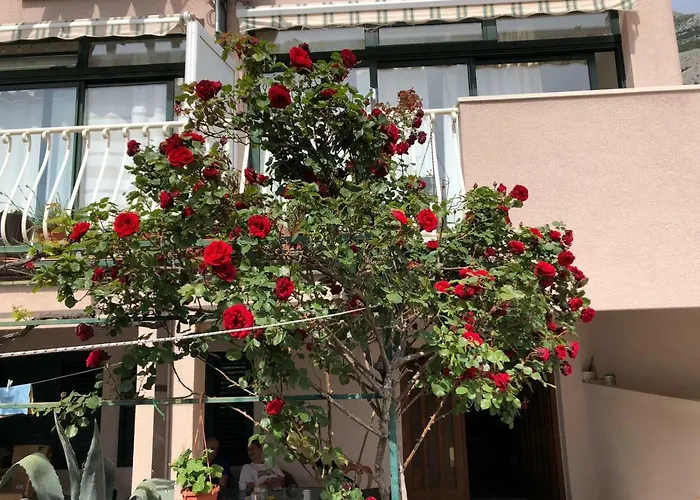 Oliva Pensionat Makarska