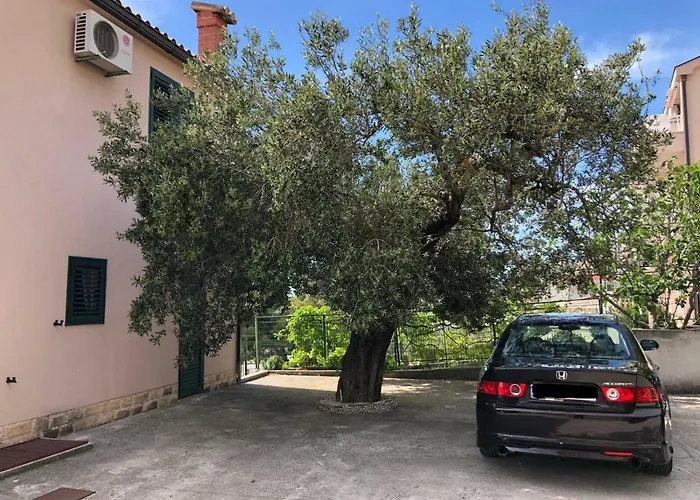 Oliva Πανσιόν