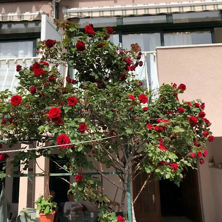 Oliva Guest house Makarska